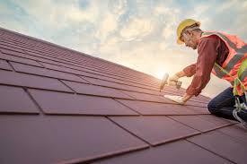 Best Roof Maintenance and Cleaning  in Brushy Creek, TX